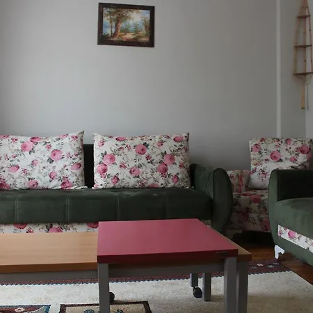 Apartment Cicek Ev